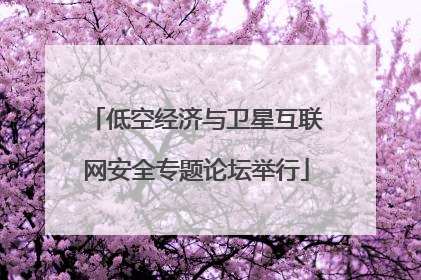 低空经济与卫星互联网安全专题论坛举行